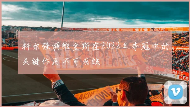 科尔强调维金斯在2022年夺冠中的关键作用不可或缺