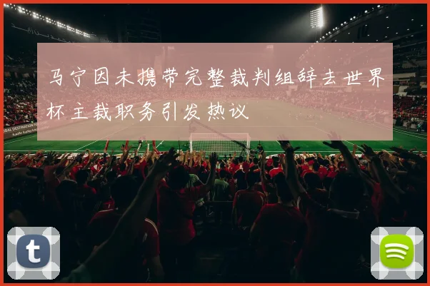 马宁因未携带完整裁判组辞去世界杯主裁职务引发热议