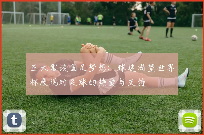 王大雷谈国足梦想：球迷渴望世界杯展现对足球的热爱与支持